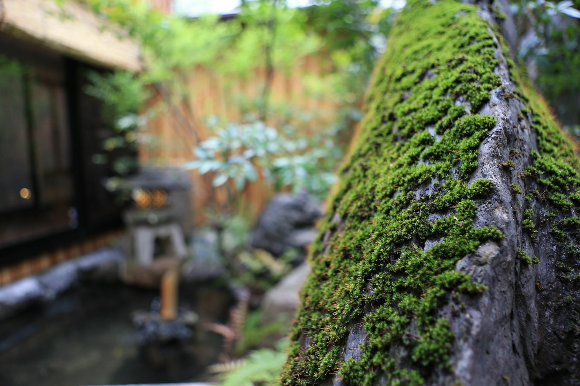Hostel Wasabi Machiya Soba *